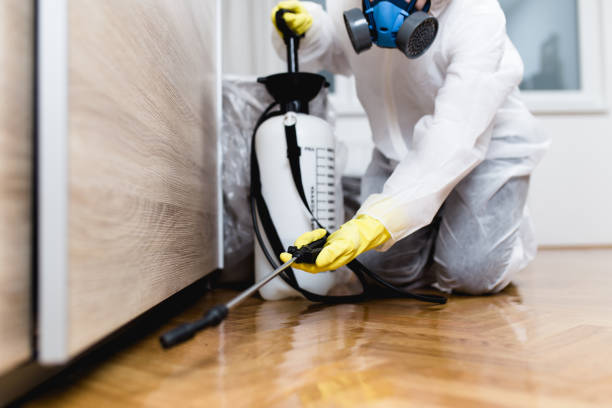 Best Best Pest Control Companies  in Belle Mead, NJ