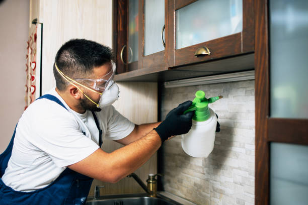Best Bed Bug Extermination  in Belle Mead, NJ