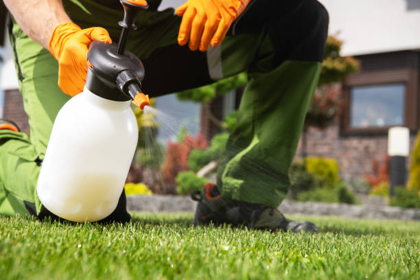 Professional Pest Control in Belle Mead, NJ