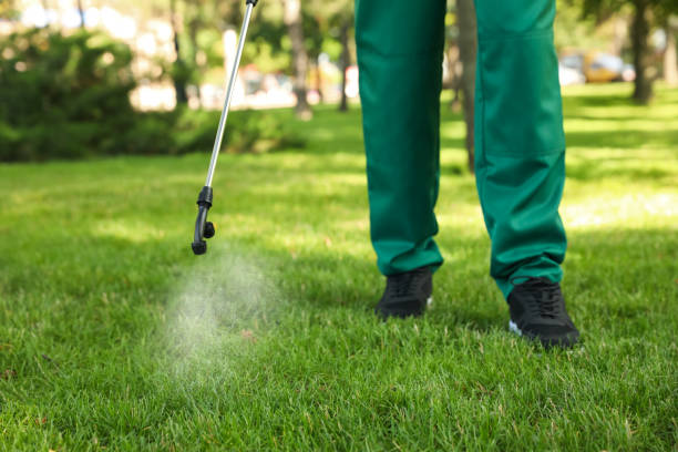 Best Best Pest Control Companies  in Belle Mead, NJ