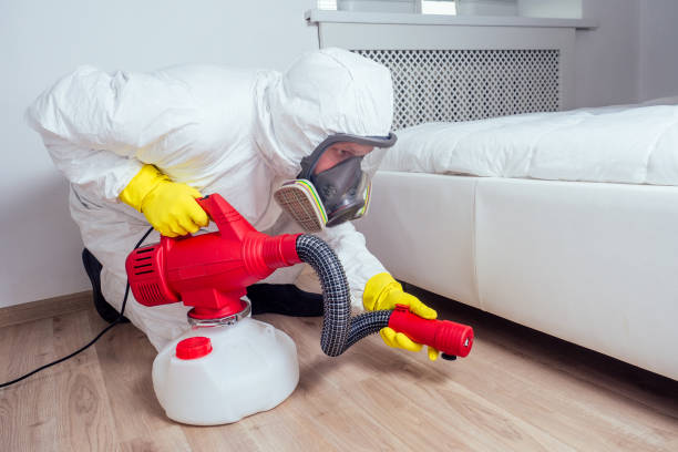 Best Emergency Pest Control  in Belle Mead, NJ