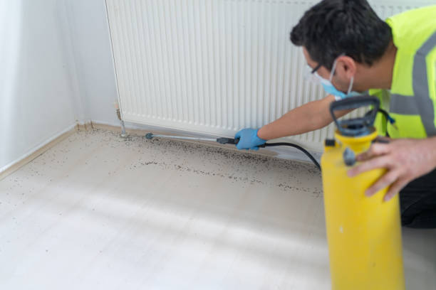 Best Termite Control Services  in Belle Mead, NJ
