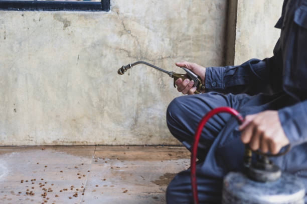Best Pest Prevention Services  in Belle Mead, NJ