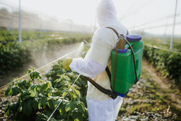 Best Local Pest Control Services  in Belle Mead, NJ